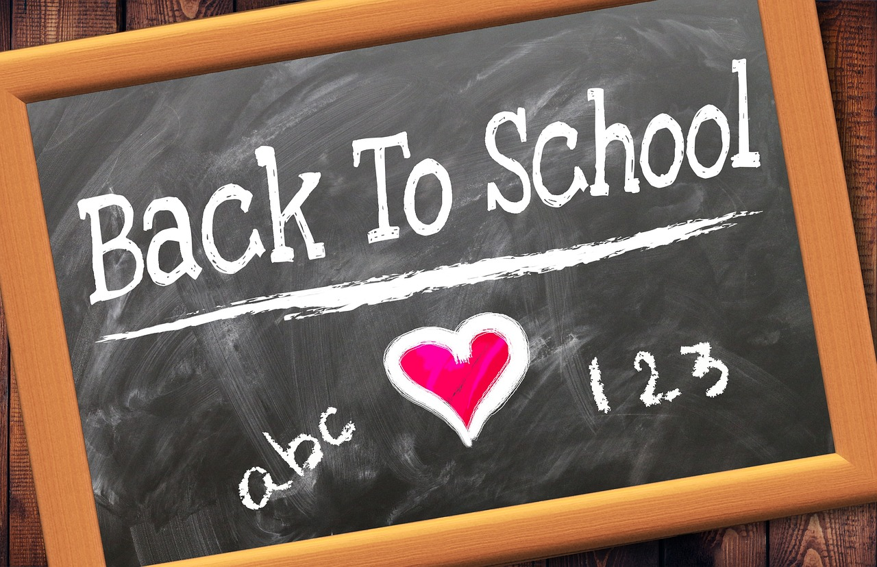 back to school, school enrollment, school, school start, teaching, to learn, school year, board, heart, abc, digits, back to school, back to school, back to school, back to school, back to school, school, school, school, school start, school start, school start, school start, school year, abc, abc, abc, abc